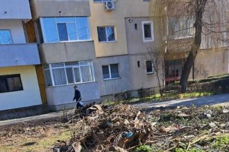 teren igienizat in cartierul tudor vladimirescu politia locala a actionat in urma unei sesizari online