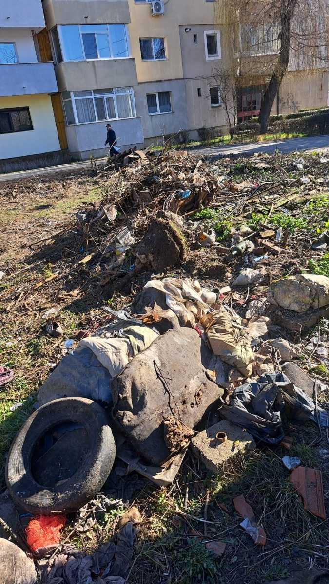 teren igienizat in cartierul tudor vladimirescu politia locala a actionat in urma unei sesizari online