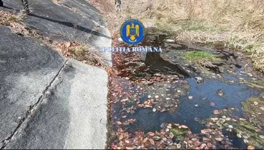 video cazuri grave de poluare in arges ce a descoperit politia la perchezitii