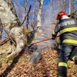 video incendiul de la corbeni arges a afectat 18 hectare de teren mobilizare mare de forte