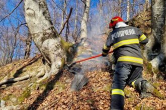 video incendiul de la corbeni arges a afectat 18 hectare de teren mobilizare mare de forte