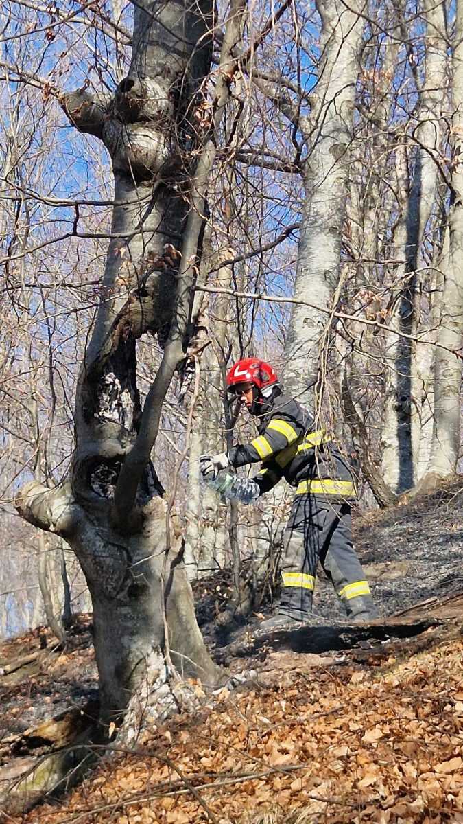 video interventie cu elicoptere pentru stingerea incendiului din corbieni
