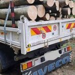 Arges Amend de 11000 de lei pentru un transportator de cherestea