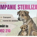 Campanie gratuita de sterilizare si microcipare la Budeasa