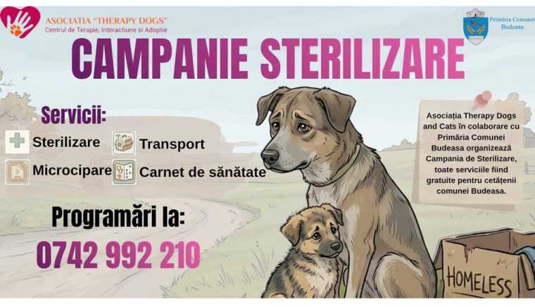 Campanie gratuita de sterilizare si microcipare la Budeasa