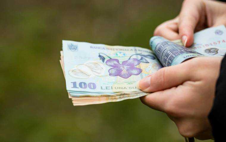 Guvernul a stabilit salariul minim in sectorul agricol corelat cu salariul de baza minim brut pe tara