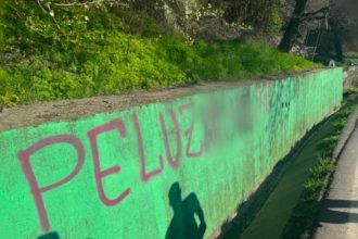 Jandarmii din Arges au aplicat o amenda unui suporter al U Cluj Ce activitate desfasura la Popasul Dedulesti