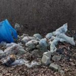 Mediul de afaceri chemat sa participe la o actiune de ecologizare in Pitesti