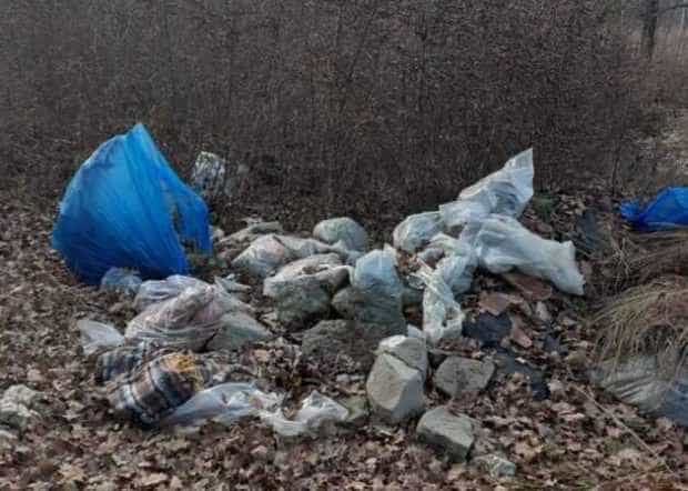 Mediul de afaceri chemat sa participe la o actiune de ecologizare in Pitesti