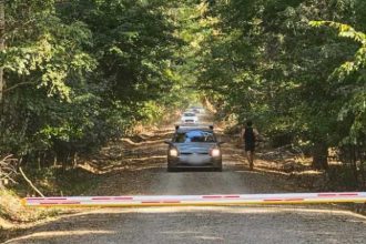 Ministerul Mediului a obtinut victoria in procesul cu Romsilva referitor la calea de acces prin padurea Baneasa