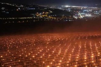 O ferma din Romania a ars lumanari de zeci de mii de euro intr o noapte pentru a proteja o livada de inghet