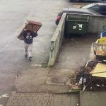 Piteshti sanciuni pentru depozitarea ilegal a deeurilor i dosare penale pentru construcii n apropierea monumentelor istorice