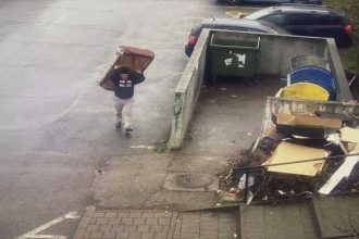 Piteshti sanciuni pentru depozitarea ilegal a deeurilor i dosare penale pentru construcii n apropierea monumentelor istorice