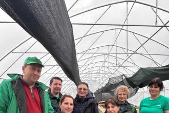 Pitesti Coronite si crengute de salcie au fost aduse la biserici cu ocazia Duminicii Floriilor