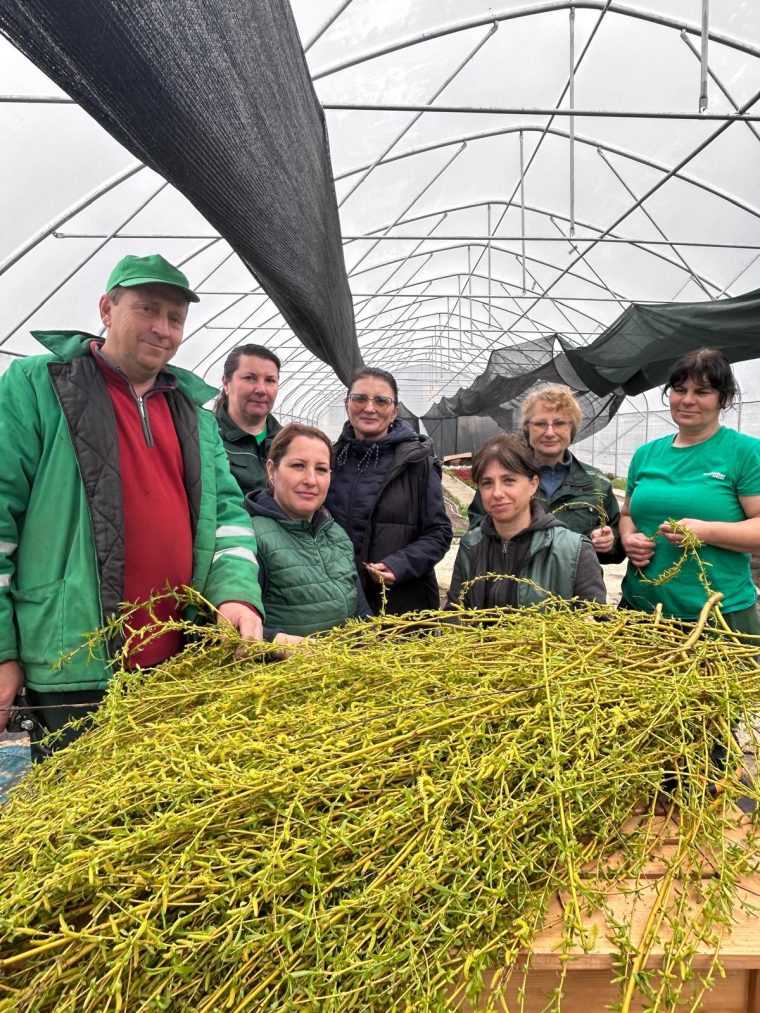 Pitesti Coronite si crengute de salcie au fost aduse la biserici cu ocazia Duminicii Floriilor