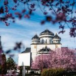 Programul Deniei in bisericile din Mioveni