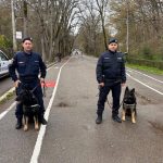 consum de bauturi alcoolice in locuri interzise refuzul de a se legitima si adresarea de insulte cele mai frecvente abateri sanctionate in arges