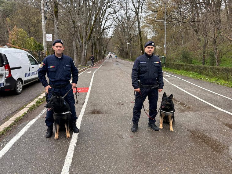 consum de bauturi alcoolice in locuri interzise refuzul de a se legitima si adresarea de insulte cele mai frecvente abateri sanctionate in arges