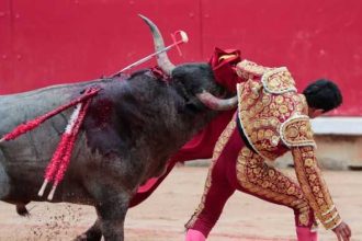 moarte socanta pe o arena din spania fost toreador ucis de taur inainte de o corrida celebra