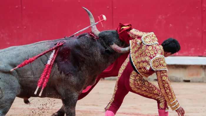 moarte socanta pe o arena din spania fost toreador ucis de taur inainte de o corrida celebra