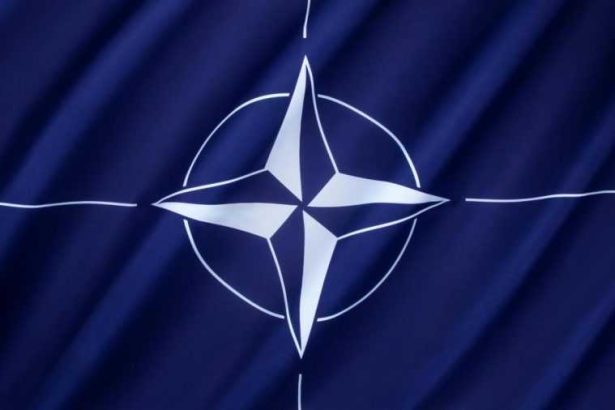 Ce stipuleaza Articolul 4 din NATO pe care Romania ar putea sa l activeze dupa incidentul cu drona de la Galati
