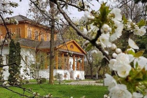Conferinta Nationala privind Protectia Patrimoniului Cultural Imaterial Metode si Perspective la Muzeul Golesti