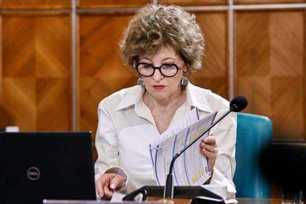 Fostul sef al ADR a denuntat o la DNA pe vicepremierul Oana Gheorghiu pentru exercitarea de presiuni in favoarea grupului Schwartz