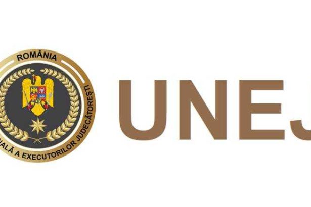 In Arges isi desfasoara activitatea nouasprezece executori judecatoresti