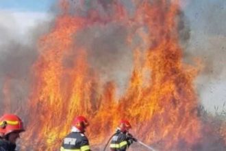 Incendii de vegetatie in lant in Caras Severin Pompierii intervin simultan in mai multe locatii