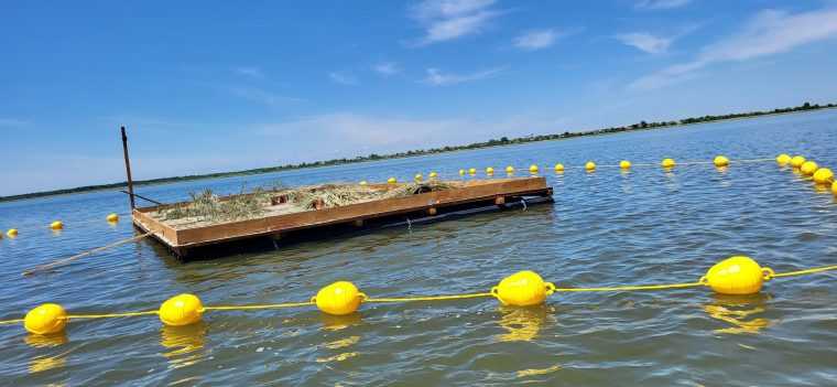 Insule suspendate pe un lac din Romania