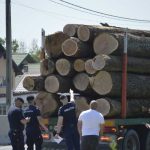 Jandarmii din Arges vigilenti fata de infractiuni silvice Amenzi la Bascov