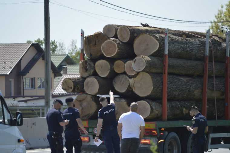 Jandarmii din Arges vigilenti fata de infractiuni silvice Amenzi la Bascov