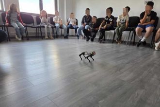 Piteshti Utiliatea roboilor discutata la Centrul Multifunctional Comunitar
