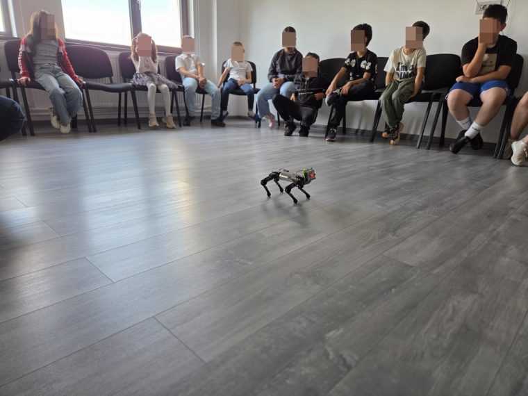 Piteshti Utiliatea roboilor discutata la Centrul Multifunctional Comunitar