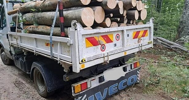 Priboieni Transport de lemne fara autorizatie cu o autoutilitar neasigurata si cu ITP ul expirat