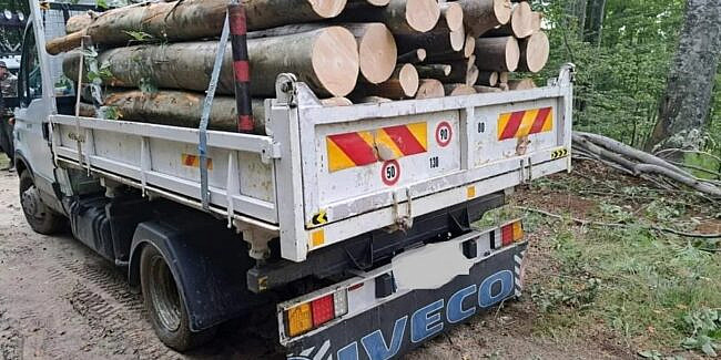 Priboieni Transport de lemne fara autorizatie cu o autoutilitar neasigurata si cu ITP ul