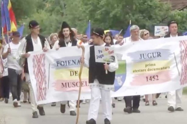 Traditie pastrata Oile din Jugur urca la munte