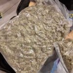 Traficant de droguri arestat preventiv Transporta 11 kilograme de canabis catre litoral