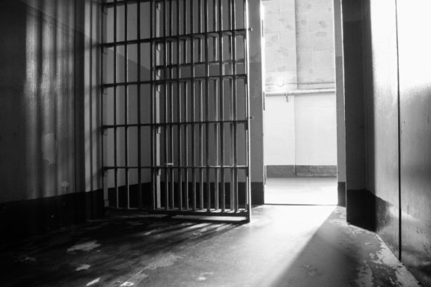 ancheta pentru neglijenta in serviciu dupa sinuciderea in arest a sibiencei acuzate ca si a omorat mama