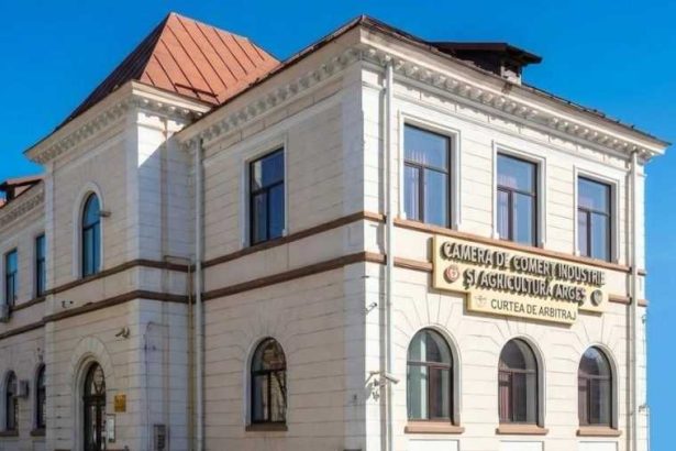 AJOFM si CCIA Arges intalnire cu angajatorii Piata muncii subiect principal