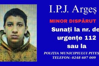Adolescent din Pitest in cautare de catree politie
