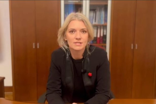 Alina Gorghiu Trebuie sa identificam rapid si responsabil o majoritate parlamentara