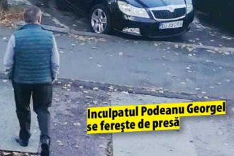 Avocatul batranelor care au ramas fara padure exclama in procesul lui Balas Co Personalul silvic a pus lupii sa pazeasca oile in loc sa aiba grija de fondul forestier