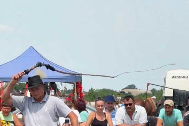 Cai desconsiderati la Targul Expoziional din Satu Mare
