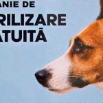 Campanie de sterilizare a animalelor de companie in Cosesti