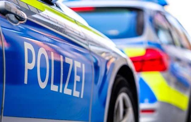 Captura impresionanta in Europa traficantii au incercat sa introduca 8 tone de cocaina intr un transport aparant obisnuit