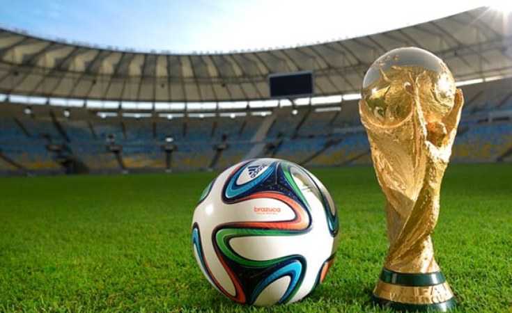 Doi suspecti acuzati de furtul bagajelor in Anglia la Cupa Mondiala