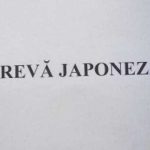 Greva japoneza in domeniul sanatatii Sanitas avertizeaza cu privire la declansarea grevei generale
