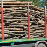 Incurcatura in silvicultura Cuscrul primarului din Corbi a transportat lemnele unui angajat al O.S Domnesti in conditii care sunt acum investigate de procurori