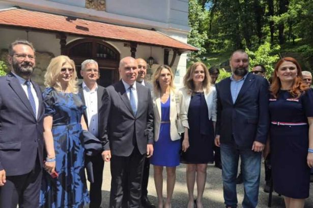 Mihai Cotez Fiecare zi in care PNL face fata presiunilor este o zi favorabila democratiei